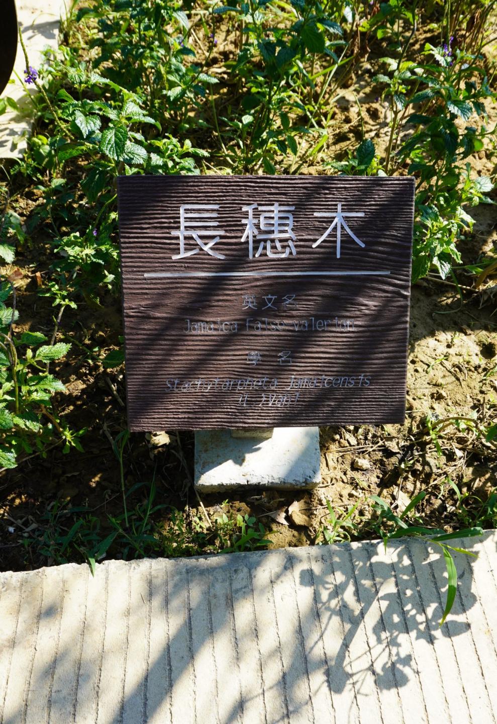 功能類